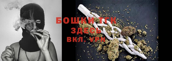 хмурый Балабаново