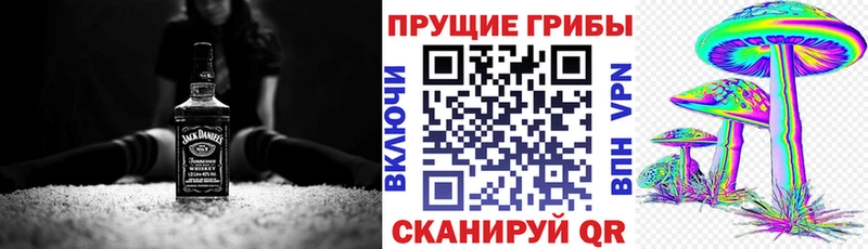 Галлюциногенные грибы MAGIC MUSHROOMS  цены наркотик  Курганинск 
